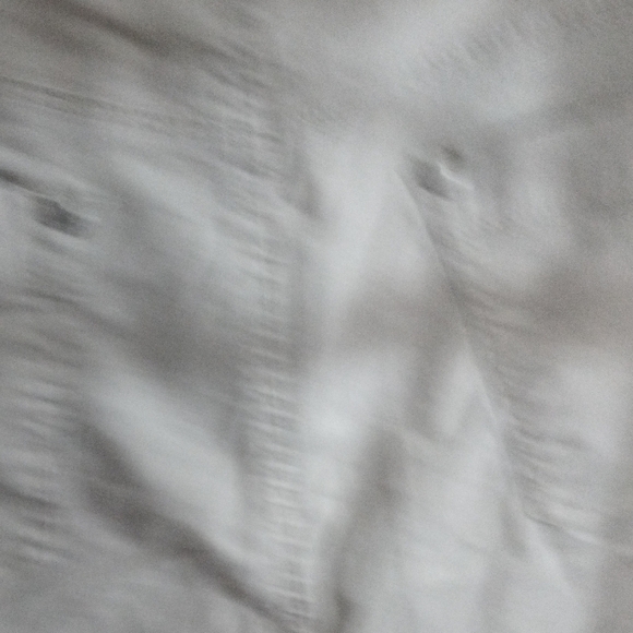 Bandolino Women's Light Beige Shorts - Picture 7 of 8